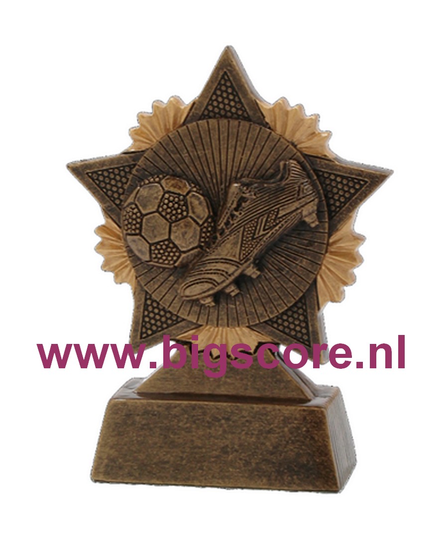 Voetbalschoen resin standaard FG705